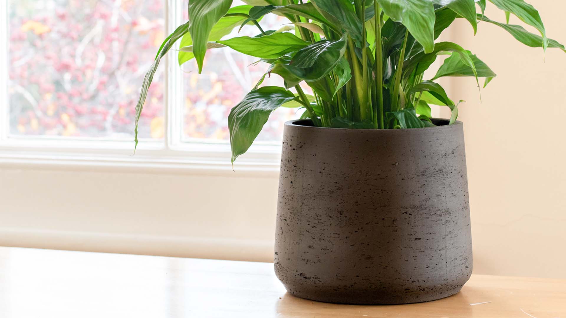 Elippsoid-products-pot