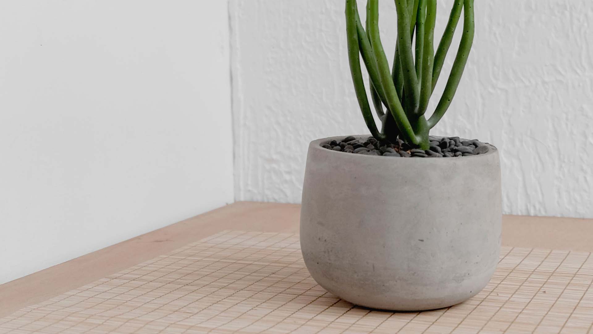 classic-pot-desert-pottery