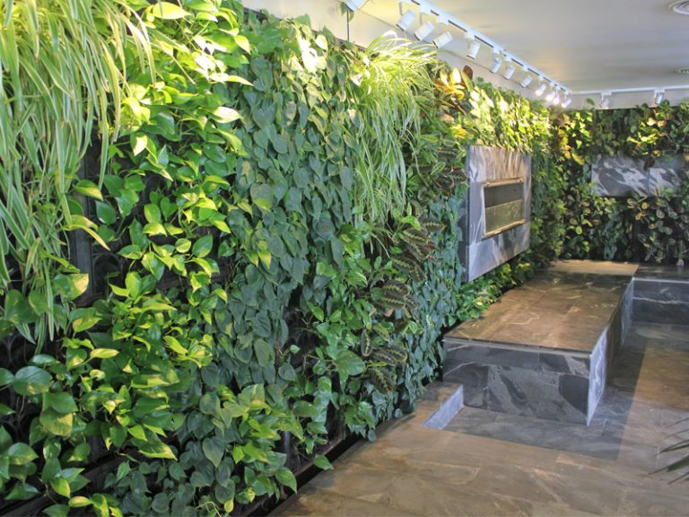 green-wall-project