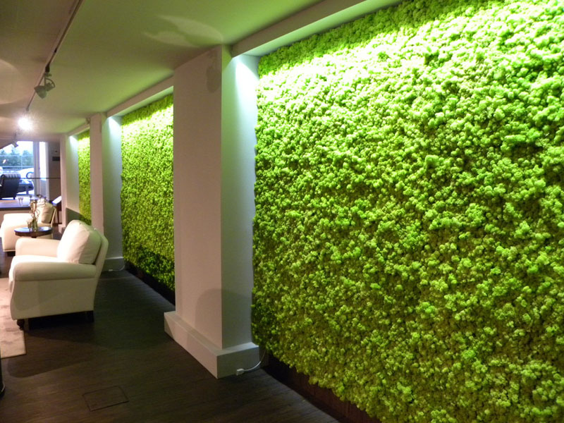 moss-wall-installation