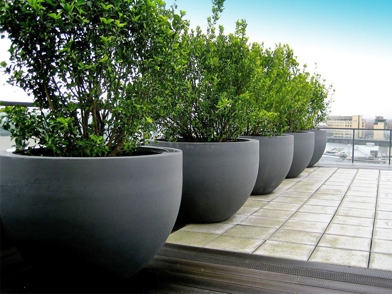 Why-Fiberglass-Planters-is-the-Preferred-Choice-for-Landscapers-and-Homeowners