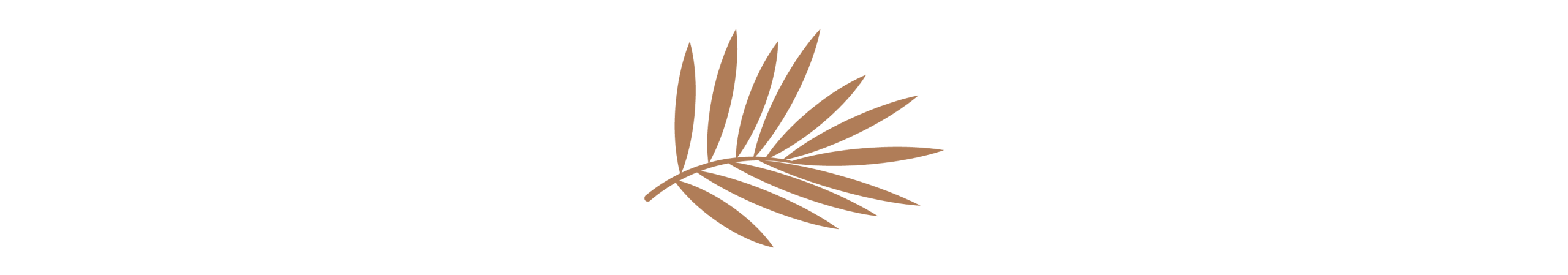 Desert-Pottery-Logo-website-white