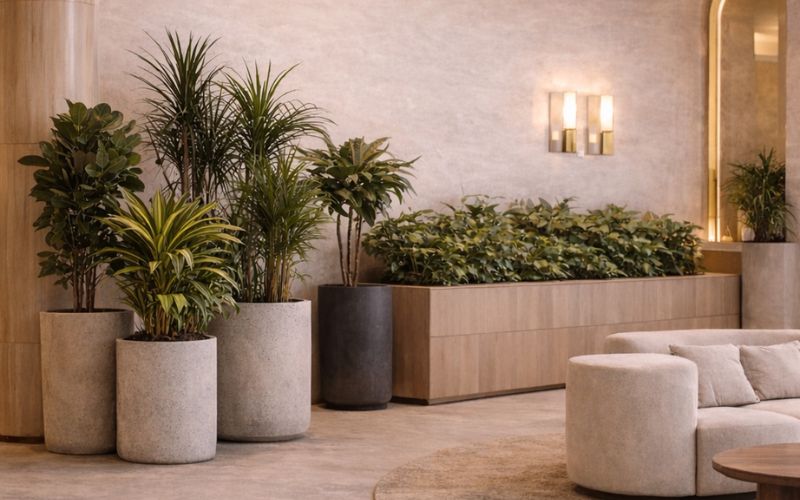commercial-planters-customer-planter -UAE