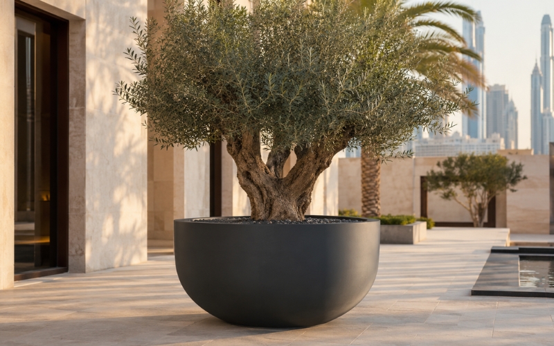 GRP planter maintenance in Dubai's outdoor climate