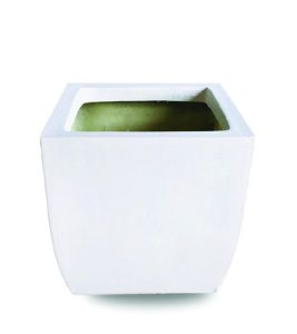 DPM-FG-036